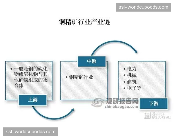 产业上游的内容制造方与下游平台方，正协同定义资产标准。