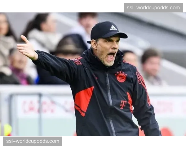 特写:安切洛蒂与图赫尔在赛后教练区长时间交谈