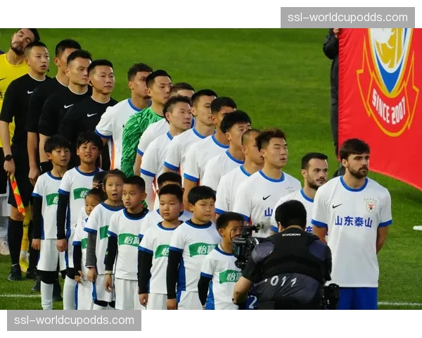 河南俱乐部对阵山东泰山两支上轮落败球队的救赎之战 河南俱乐部对阵山东泰山两支上轮落败球队的救赎之战